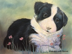 Penny The Pup - Colour Pencil